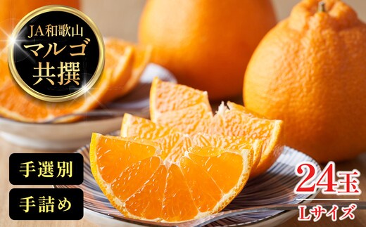 JA和歌山 マルゴ共撰 デコポン 24玉入り Lサイズ 5kg箱