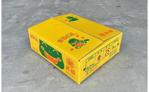 有田みかん 5kg 2Sサイズ 光センサー使用 高糖度 | dショッピング