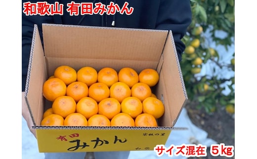 ［秀品・サイズMIX］まる隆果樹園 和歌山有田産！早生みかん≪5kg≫［予約販売］［数量限定］