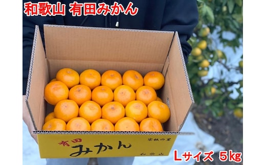 ［秀品・サイズＬ］まる隆果樹園 和歌山有田産！早生みかん≪5ｋｇ≫［予約販売］［数量限定］