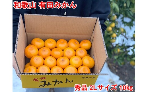 ［秀品・サイズ2L］和歌山有田産！早生みかん≪10kg≫［予約販売］［数量限定］まる隆果樹園