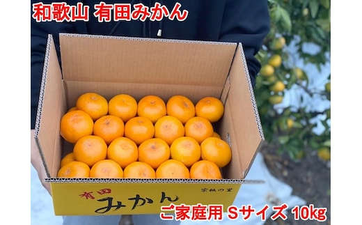 ［ご家庭用・サイズＳ］和歌山有田産！早生みかん≪10kg≫［予約販売］［数量限定］まる隆果樹園
