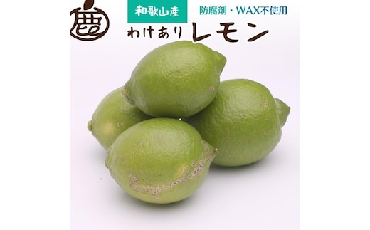 ［先行予約］わけあり レモン1.5kg+250g（傷み補償分）［和歌山有田産］［防腐剤・WAX不使用、安心の国産レモン］［わけあり・訳ありレモン］