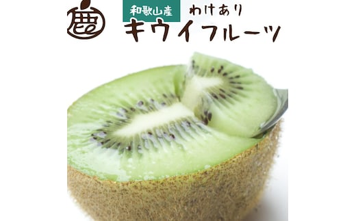 ［先行予約］わけあり キウイ1kg+250g（傷み補償分）［わけあり・訳あり・扁平果］