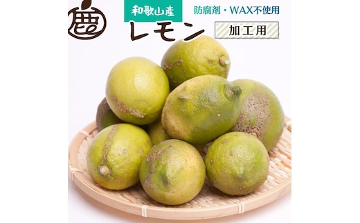 ［先行予約］加工用 レモン2.5kg+250g（傷み補償分）［和歌山有田産］［防腐剤・WAX不使用、安心の国産レモン］［わけあり・訳ありレモン］