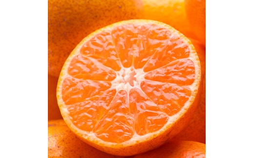 家庭用 有田みかん定期便 約2.5kg 全3回 10月・11月・12月発送