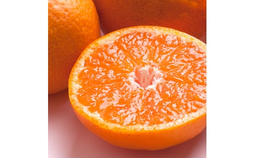 極プレミアム有田みかん 約2.5kg 定期便 全3回 10月・11月・12月発送