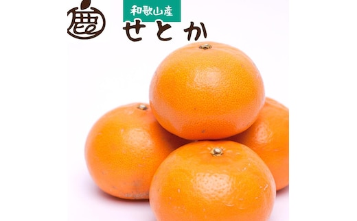 ［先行予約］厳選 せとか10kg+250g（傷み補償分）［柑橘・春みかんの王様］［光センサー選果・食べ頃出荷］