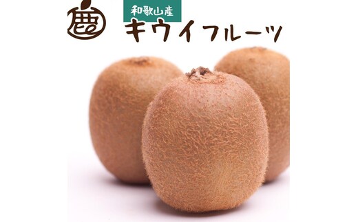 ［先行予約］厳選 キウイ10kg+250g（傷み補償分）［扁平果］