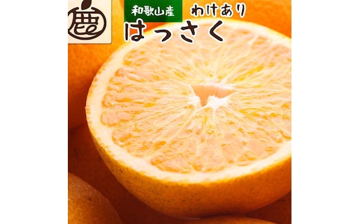 ［先行予約］家庭用 はっさく10kg+250g（傷み補償分）［八朔みかん］［訳あり・わけあり］