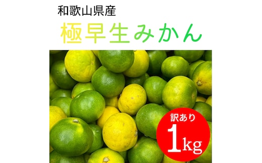 家庭用 和歌山県産 極早生みかん 1kg