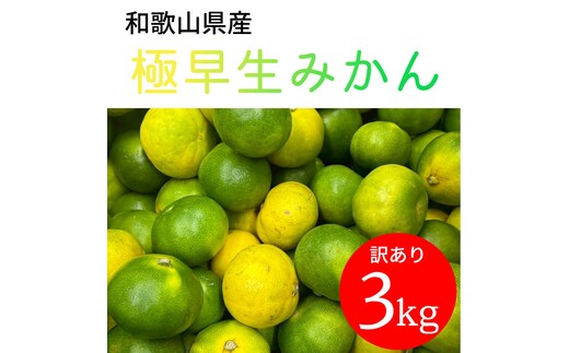 家庭用 和歌山県産 極早生みかん 3kg