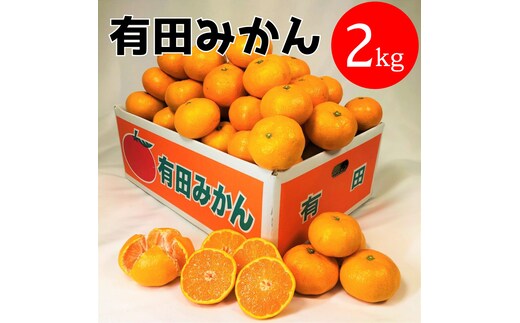 有田みかん 2kg (約18個～20個)