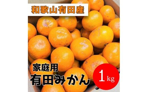 家庭用 有田みかん 1kg (約9個～10個)