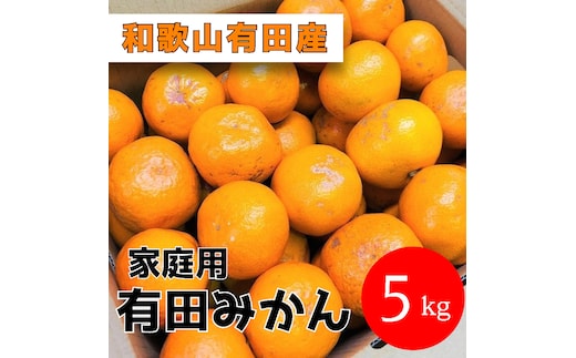家庭用 有田みかん 5kg (約46個～51個)