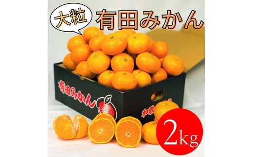 大粒有田みかん 2kg (約14個～16個)