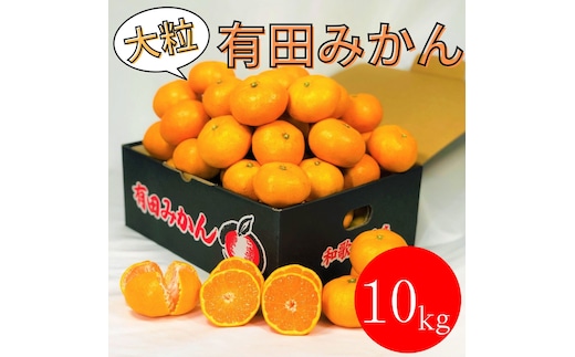 大粒有田みかん 10kg (約70個～76個)