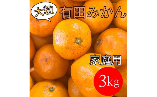 家庭用 大粒有田みかん 3kg (約21個～24個)