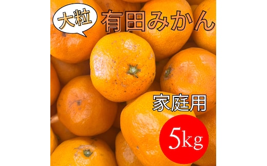 家庭用 大粒有田みかん 5kg (約35個～40個)