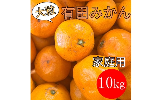 家庭用 大粒有田みかん 10kg (約70個～76個)
