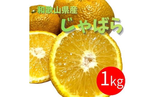 じゃばら 1kg (6～9玉)
