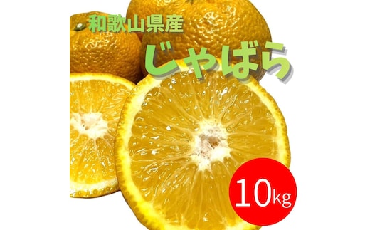 じゃばら 10kg (56~88玉)
