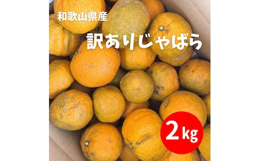 訳あり じゃばら 2kg (11～18玉)