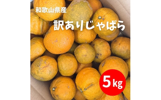 訳あり じゃばら 5kg (28～44玉)