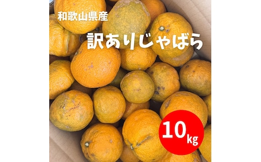 訳あり じゃばら 10kg (56～88玉)