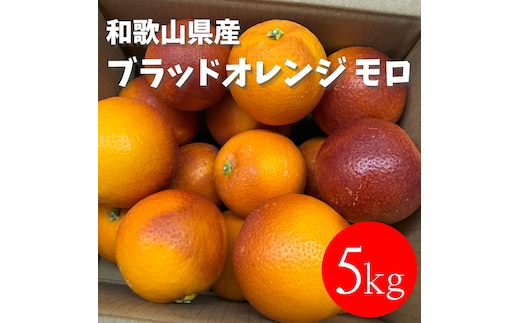 和歌山 有田 ブラッドオレンジ モロ 5kg