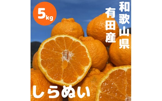和歌山 有田 不知火 しらぬい 5kg
