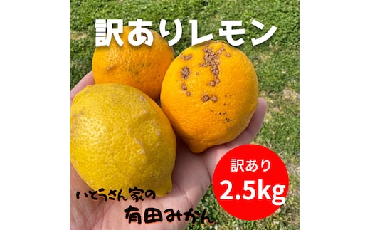 訳あり 国産 レモン 2.5kg (14~22玉)