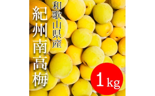 黄色～完熟梅 南高梅 1kg
