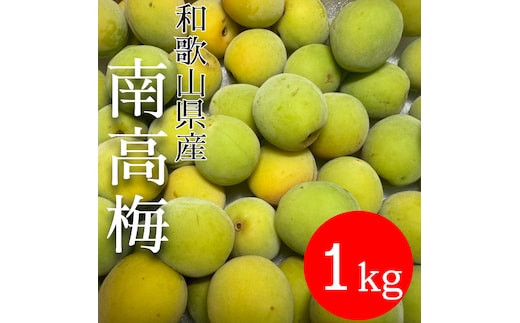 青梅 南高梅 1kg