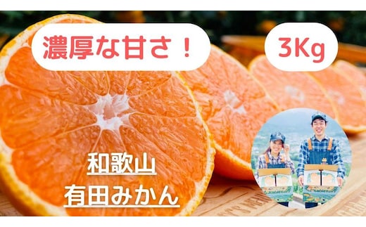 【農家直送】濃厚な甘さの早生みかん3kg/【厳選小みかん】みかんのみっちゃん農園