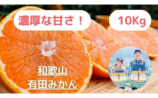 【農家直送】濃厚な甘さの早生みかん10kg/【厳選小みかん】みかんのみっちゃん農園