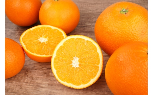 ネーブルオレンジ 約5kg サイズおまかせ アルギット 栽培 国産 甘い おいしい ジューシー 皮 薄い 完熟 期間限定 フルーツ 果物 人気 おすすめ 高級 こだわり ギフト 旬 山崎農園 和歌山