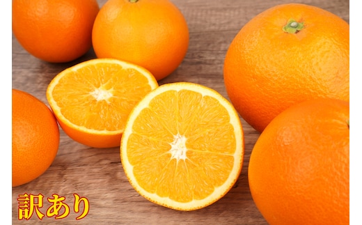 訳あり ネーブルオレンジ 約5kg サイズおまかせ アルギット 栽培 国産 甘い おいしい ジューシー 皮 薄い 完熟 期間限定 フルーツ 果物 人気 おすすめ 高級 こだわり ギフト 旬 山崎農園 和歌山