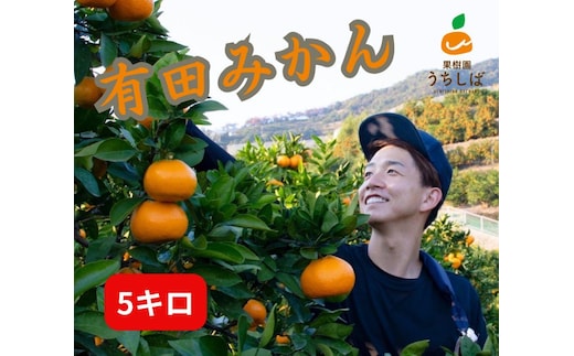 和歌山県産 濃厚な甘さ 完熟有田みかん 5kg 農家直送