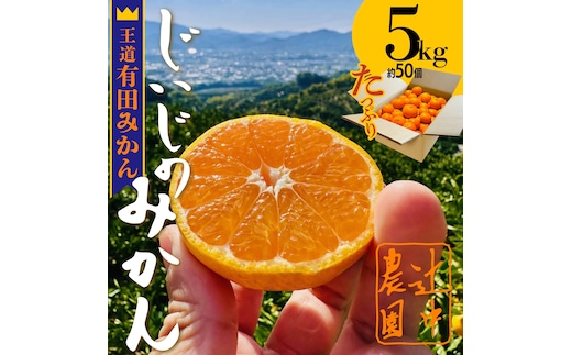 和歌山県有田みかん じぃじのみかん 約5kg