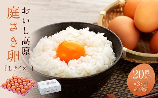3か月定期便 おいし高原 庭さき卵 Lサイズ 20個入り 【全3回お届け】