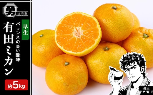 先行予約早生みかん 約5kg サイズ混合 和歌山県 有田みかん 2025年11月中旬頃発送