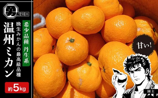 先行予約希少品種 丹生系 温州みかん 5kg 秀・優混合 サイズ混合 2026年2月中旬頃発送