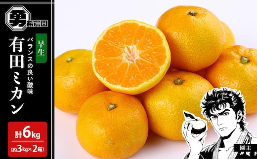 先行予約早生みかん 約6kg（約3kg×2箱）サイズ混合 和歌山県 有田みかん 2025年11月中旬頃発送
