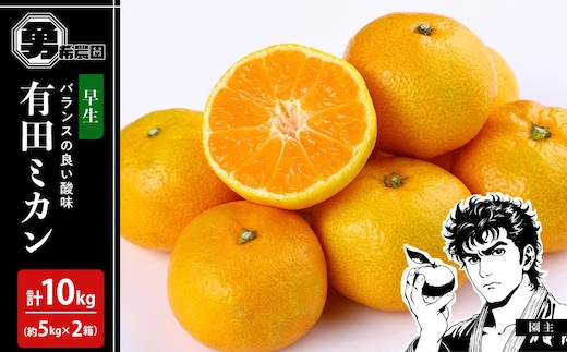 先行予約早生みかん 約10kg （約5kg×2箱）サイズ混合 和歌山県 有田みかん 2025年11月中旬頃発送