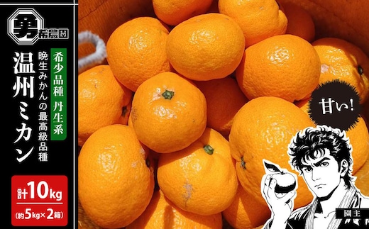 先行予約希少品種 丹生系 温州みかん 約10kg （約5kg×2箱） 秀・優混合 サイズ混合 2026年2月中旬頃発送