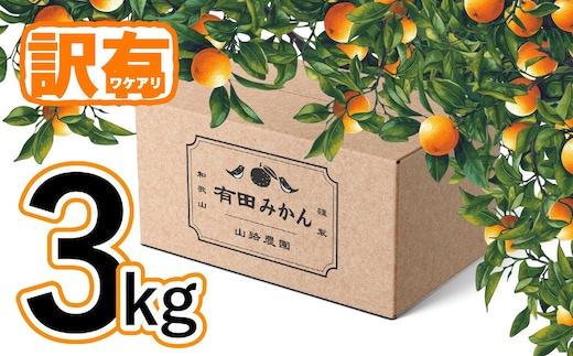 【訳あり】有田みかん 約3kg 家庭用
