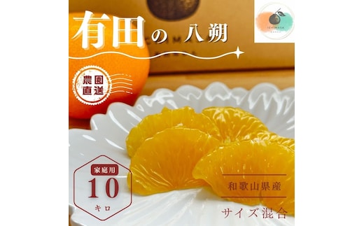 【ふるさと納税】【先行予約】 八朔 10kg 家庭用 サイズ混合 柑橘 フルーツ はっさく 産地直送 お取り寄せ 送料無料
