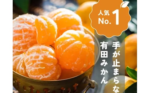 手が止まらない 訳あり 有田みかん 約3kg 大きさ無選別（2S?3L） 糖度11度以上 鳴川農園