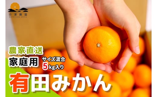 有田みかん ご家庭用 5kg S～2Lサイズ混合